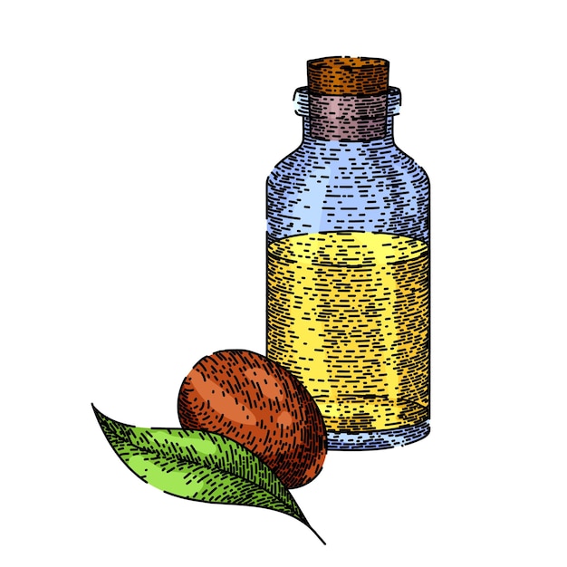 Jojoba olie fles schets hand getekende vector