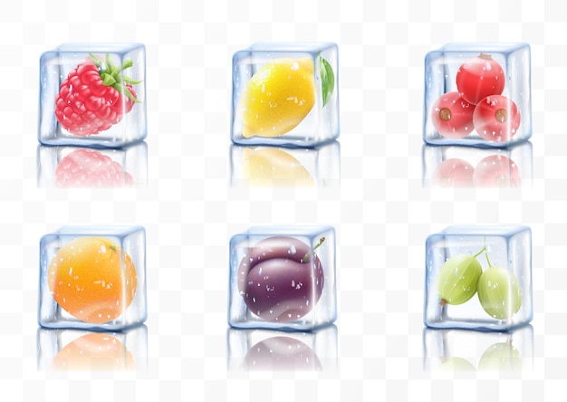 Vettore frutti succosi in cubetti di ghiaccio lampone limone prugna ribes arancia goosberry congelata o pompelmo illustrazione vettoriale 3d realistica bacca congelata per cocktail estivi esotici bevande alcoliche
