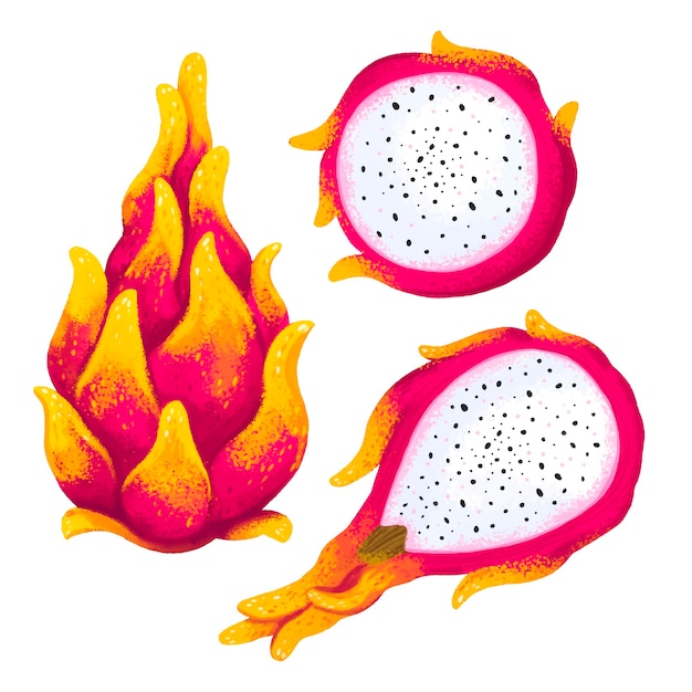 세 가지 각도에서 이국적인 Pitahaya 과일의 육즙이 그림, 컷 Pitahaya, 드래곤 하트