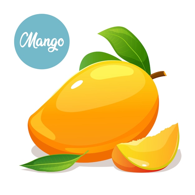 juicy mango illustration with whole and slice fruit and label isolated on white background