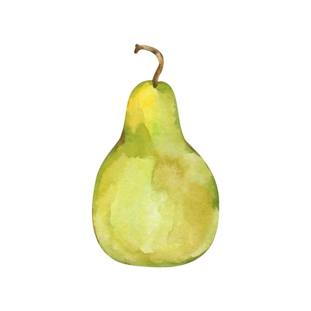 Juicy pear watercolor hand drawn vector illustration isolated on white background