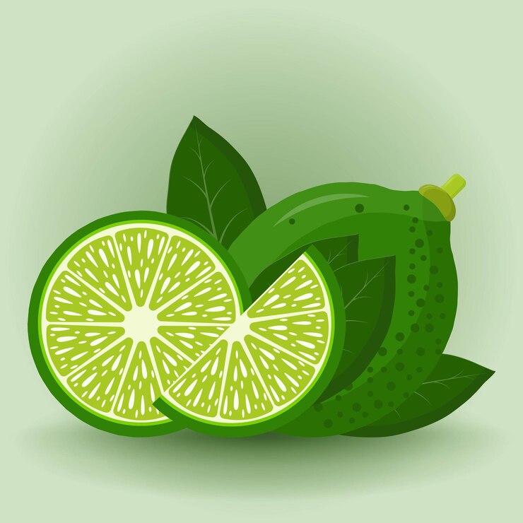 Vector juicy ripe green lime