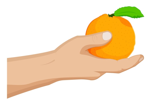 Juicy ripe orange with green leaf in a mans hand Summer tropical fruits Cartoon vector on white background