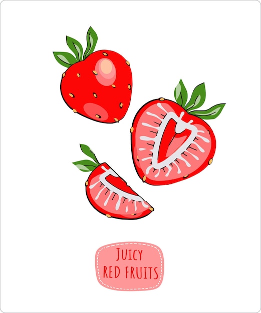 Juicy strawberries red grapefruit berries Vector on a white background
