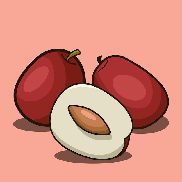 Vector jujube fruit illustration nature fruit concept isolated