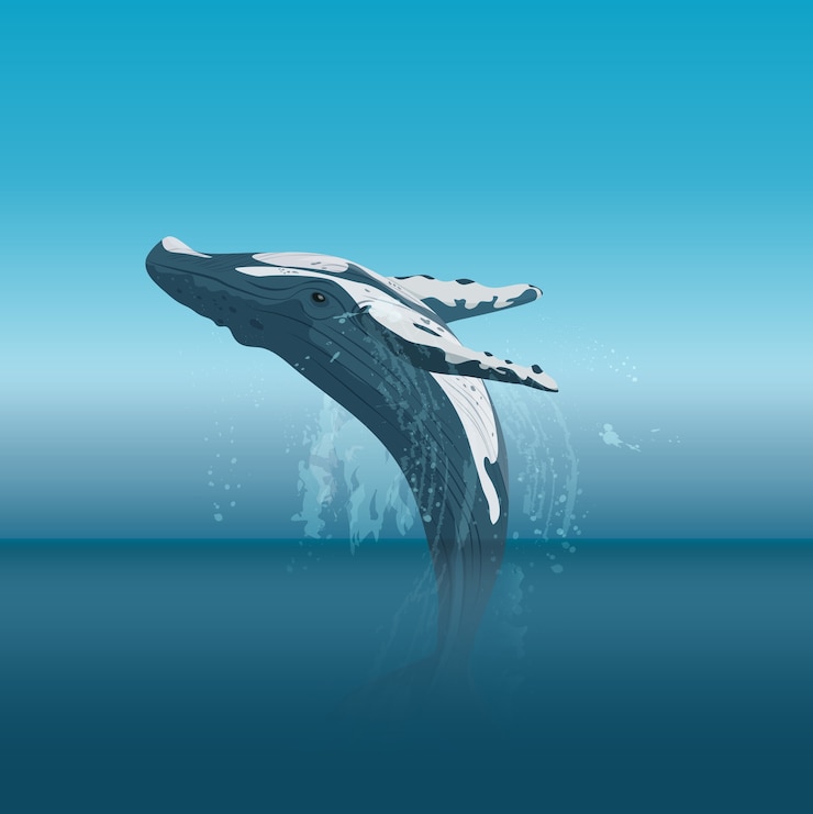 Vector jumping cartoon humpback whale in the ocean
