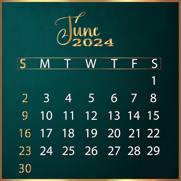 Vector june 2024 calendar new year calendar 2024