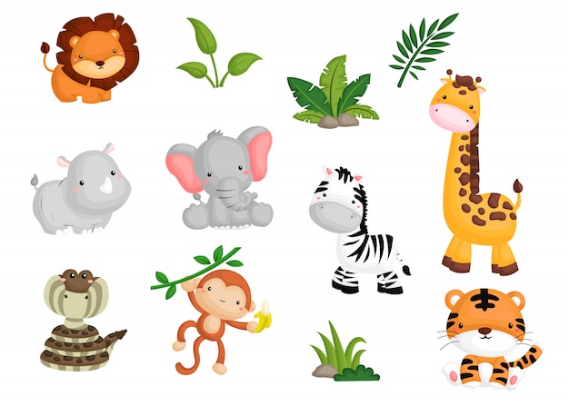 Vector jungle animal image set