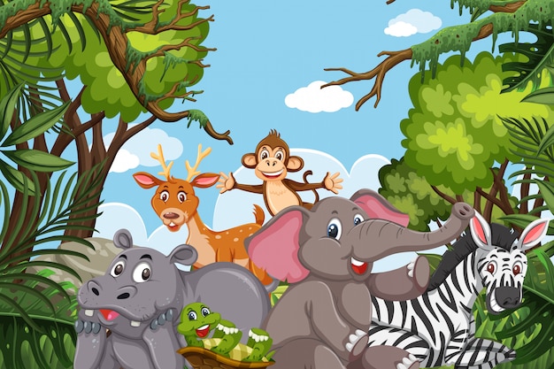 Jungle animals in nature scene