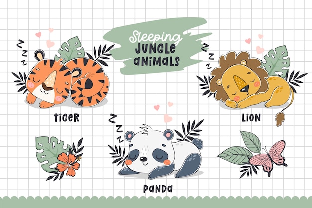 Vector jungle animals sleep cartoon characters cute collection