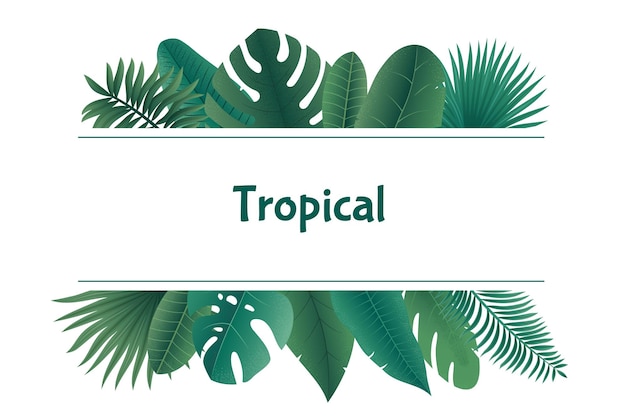 Jungle bladeren framing Exotische tropische groene achtergrond met bladeren botanische boarder Vector illustration