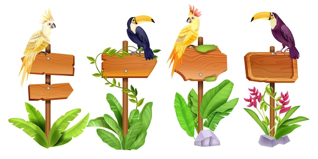 Vector jungle houten bord vector ui hout plant frame set exotische tropische blad papegaai toekan