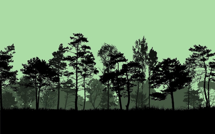 Vector jungle landscape nature woods vector illustration background trees sky bright color view banner