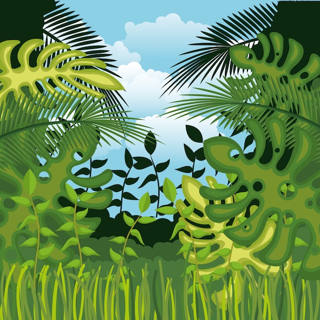 Vector jungle landschap achtergrond geïsoleerd pictogram ontwerp