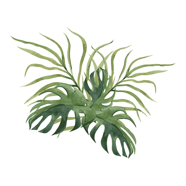 Vector jungle leaf arrangement