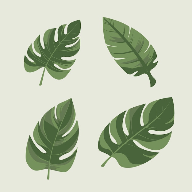 Jungle leaf collection