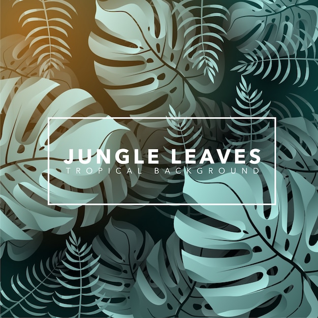 Vector jungle leaves background