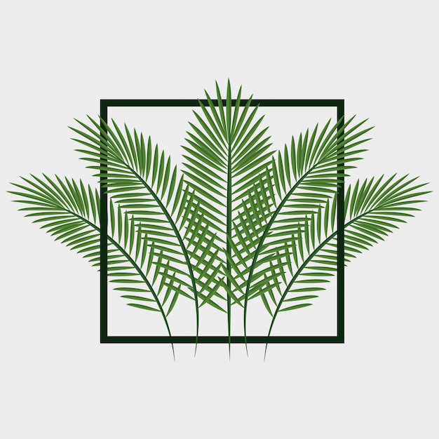 Листья джунглей шаблон изолированные значок дизайн