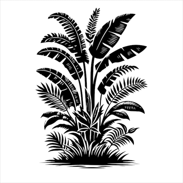 Jungle plant vector Interior plant or indoor tree silhouettes vector