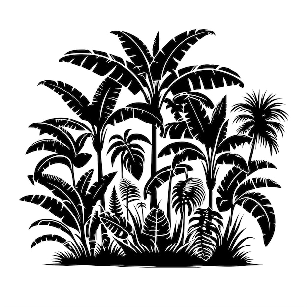 Jungle plant vector Interior plant or indoor tree silhouettes vector
