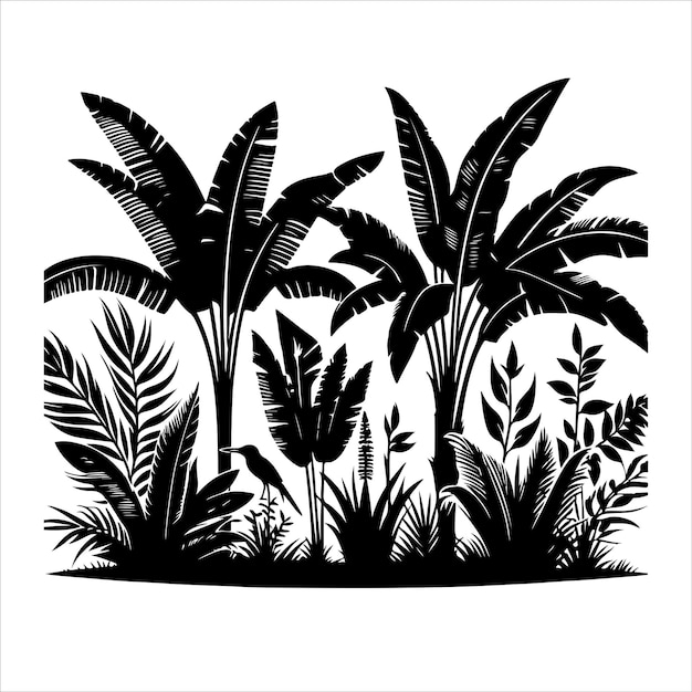 Jungle plant vector Interior plant or indoor tree silhouettes vector