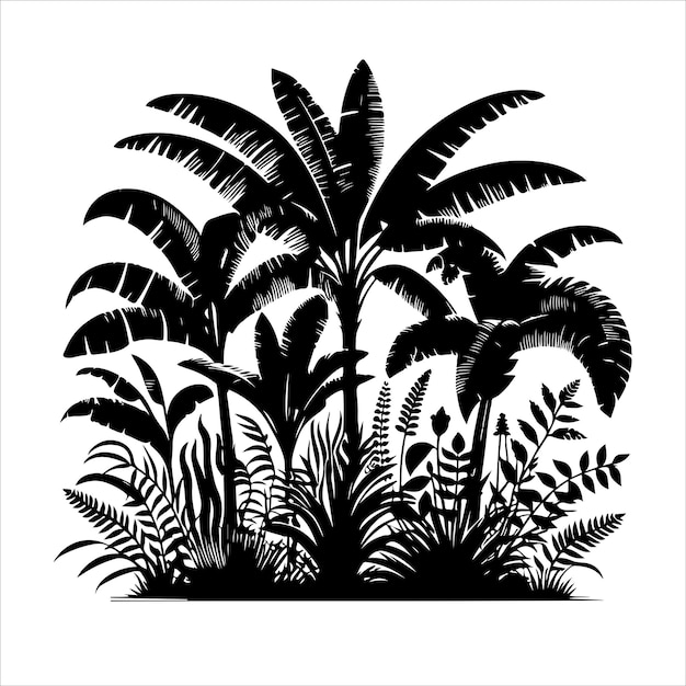 Jungle plant vector Interior plant or indoor tree silhouettes vector