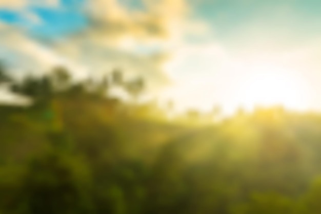 Vector jungle sunrise vector background