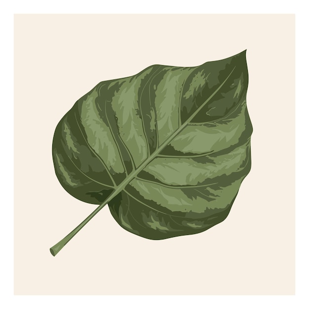 Vector jungle tree leaf