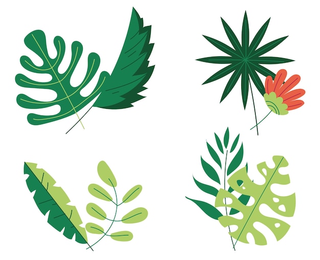 丛林热带花叶孤立的概念设置平坦的图形设计插图