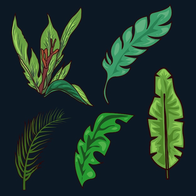 Premium Vector | Jungle tropical leaves