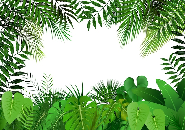 Jungle on white background