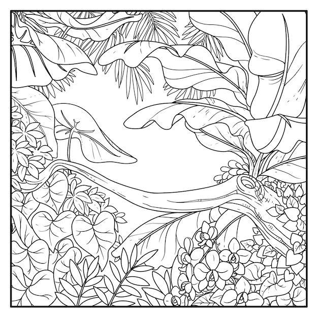 Vector jungle with with orchid flowers black contour line drawing for coloring on a white background