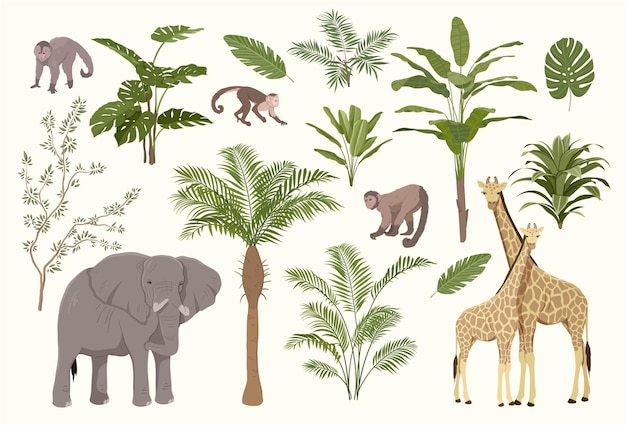Vector jungles trees and animals set