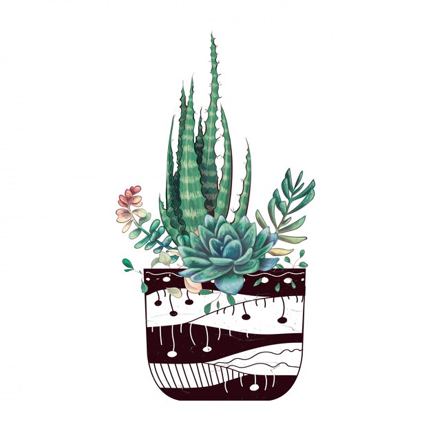 Kaart met geplaatste cactussen en succulents