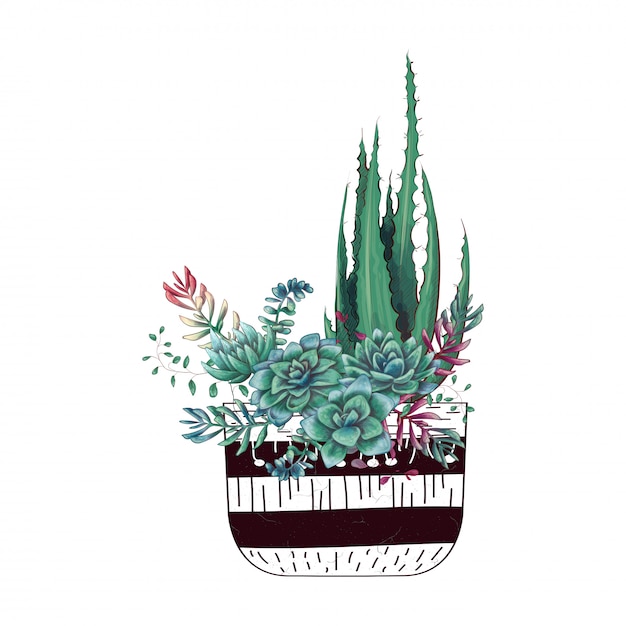 Kaart met geplaatste cactussen en succulents