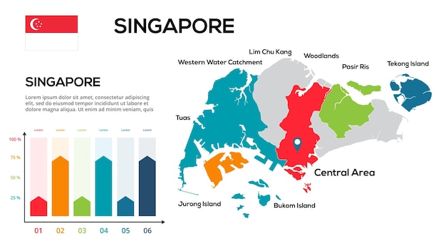 Kaart van Singapore Afbeelding van een wereldkaart in de vorm van regio's van regio's van Singapore Vlag van het land Infographic tijdlijn Eenvoudig te bewerken