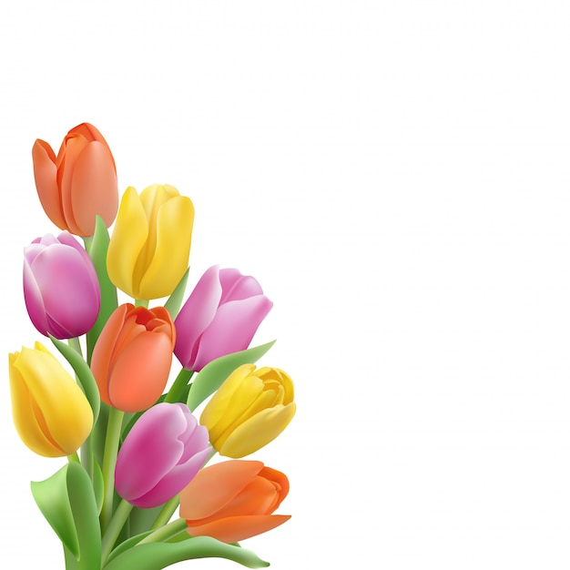 Vector kaartsjabloon met kleurrijke tulpen