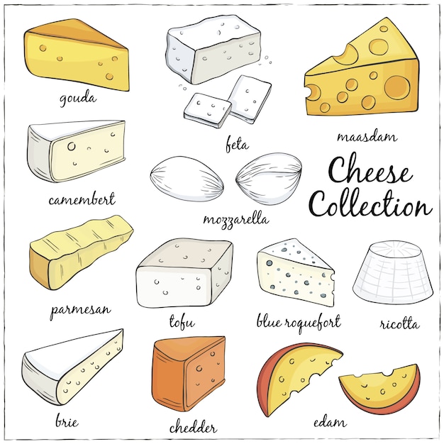Kaas collectie illustratie