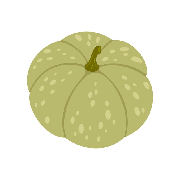 Vector kabocha vegetable food green acorn squash icon