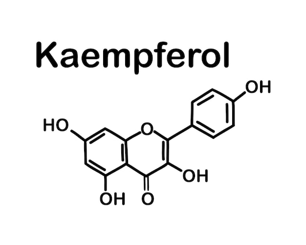 Kaempferol. chemische structuur