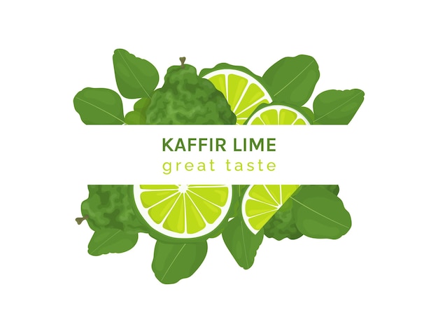 Vector kaffir lime or bergamot web banner horizontal flyer or screen for promotion