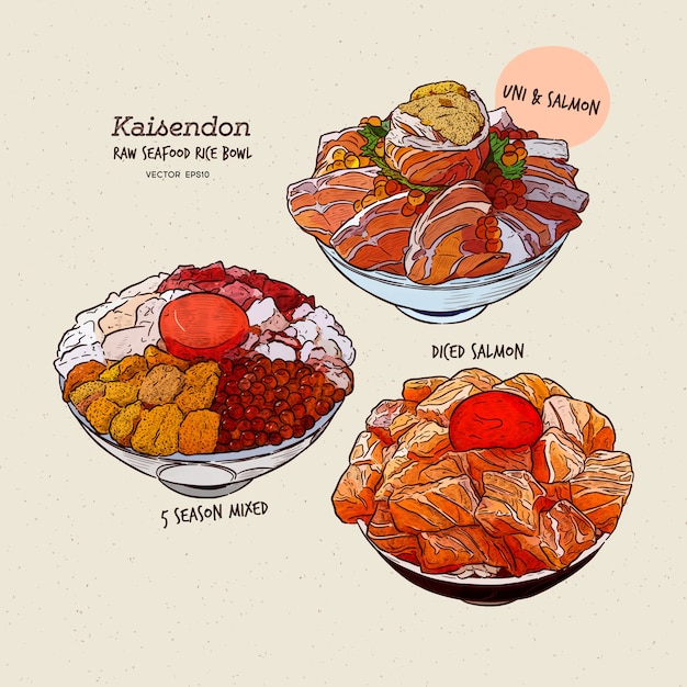 Kaisen Donburi set, a bowl of rice with sashimi on top. Hand draw sketch .