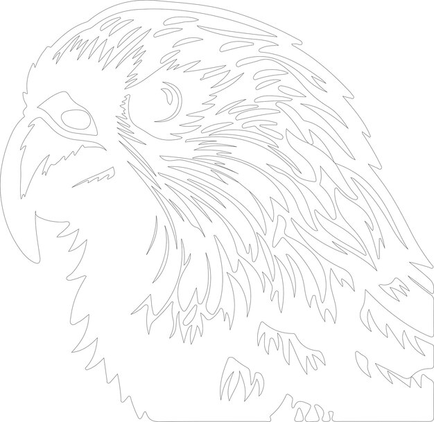 Vector kakapo outline with transparent background