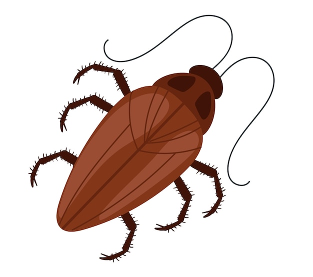 Kakkerlak mottenmijt bug voorn geïsoleerd op witte achtergrond platte grafische ontwerp illustratie
