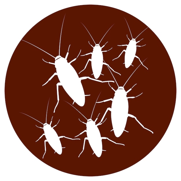 Kakkerlak pictogram