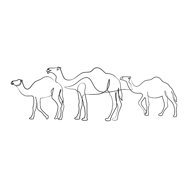 Vector kameel doorlopende tekening met één lijn