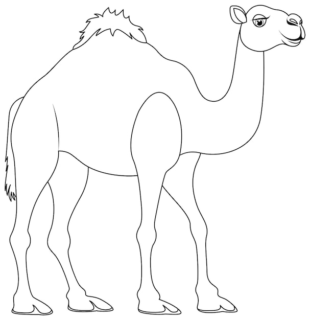 Vector kameel wandelen overzicht