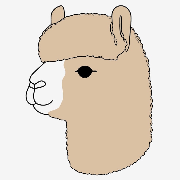 Vector kameelachtige dierenkop genaamd alpaca