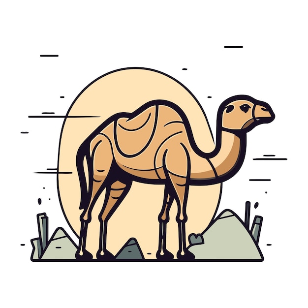 Kamel in de woestijn Vectorillustratie in platte lineaire stijl