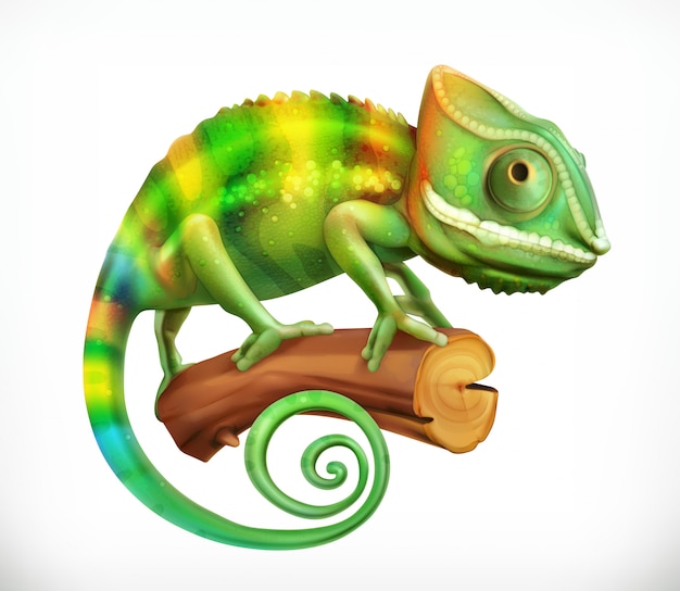 Vector kameleon.